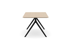AXLIR7836_AxylTables_BlackFrame_AshLaminate_R3.jpg