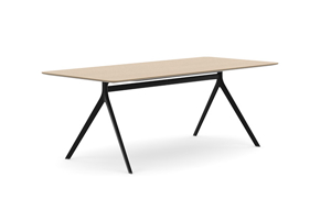 AXLIR7836_AxylTables_BlackFrame_AshLaminate_R6.jpg