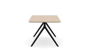 AXLIR7836_AxylTables_BlackFrame_AshLaminate_R7.jpg
