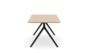 AXLIR9636_AxylTables_BlackFrame_AshLaminate_R3.jpg