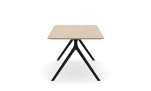 AXLIR9636_AxylTables_BlackFrame_AshLaminate_R7.jpg