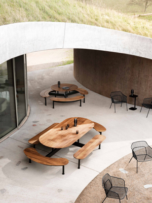 Tibo_Mood_Image_02 copy.jpeg