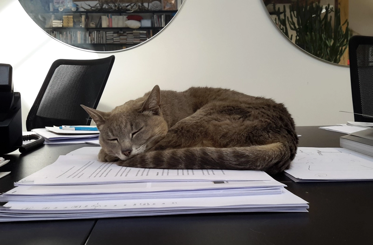 Studio_MarkGabbertas