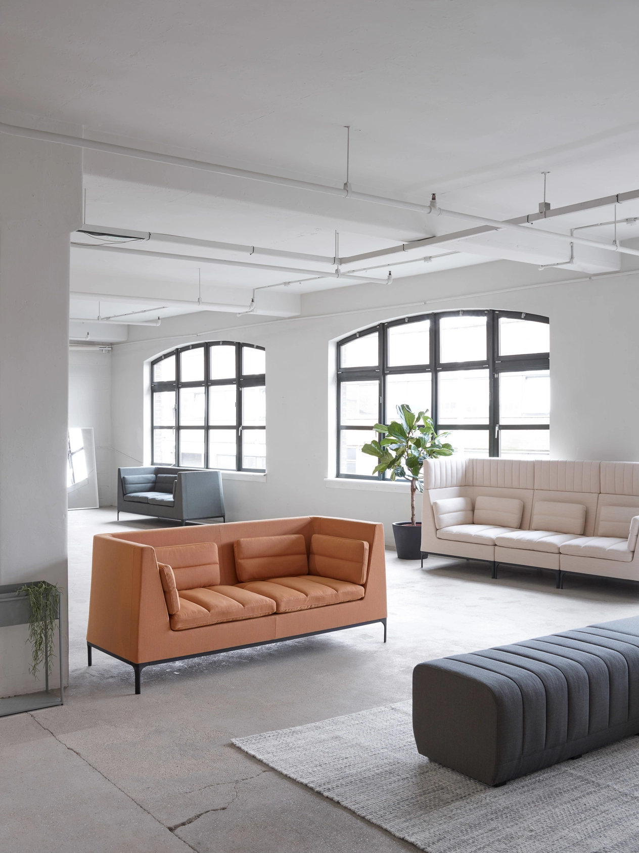 Haven_Family_Mood_Image_33